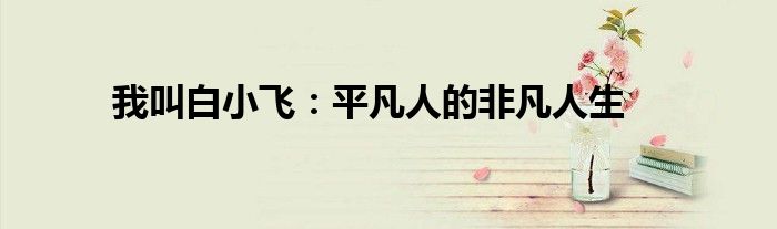我叫白小飞：平凡人的非凡人生