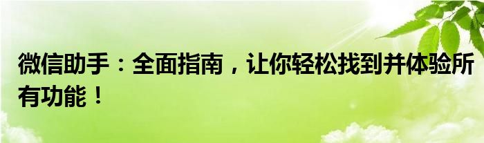微信助手：全面指南，让你轻松找到并体验所有功能！