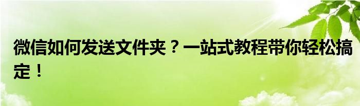 微信如何发送文件夹？一站式教程带你轻松搞定！