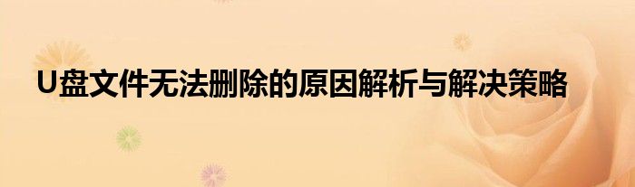 U盘文件无法删除的原因解析与解决策略