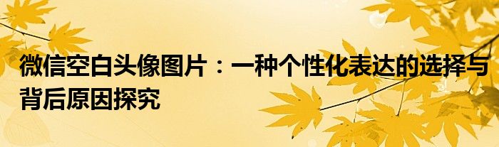 微信空白头像图片：一种个性化表达的选择与背后原因探究