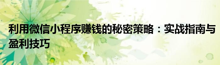 利用微信小程序赚钱的秘密策略：实战指南与盈利技巧