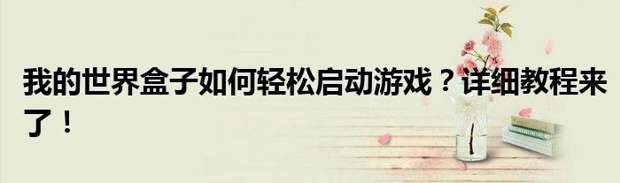 我的世界盒子如何轻松启动游戏？详细教程来了！