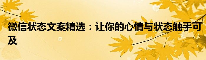微信状态文案精选：让你的心情与状态触手可及