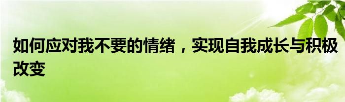 如何应对我不要的情绪，实现自我成长与积极改变
