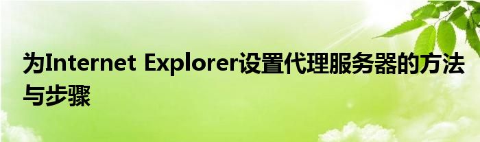 为Internet Explorer设置代理服务器的方法与步骤