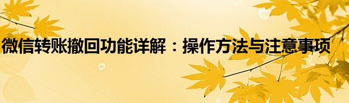 微信转账撤回功能详解：操作方法与注意事项