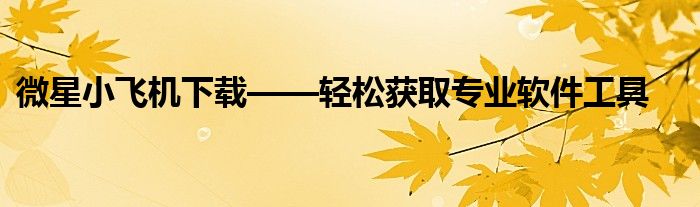 微星小飞机下载——轻松获取专业软件工具