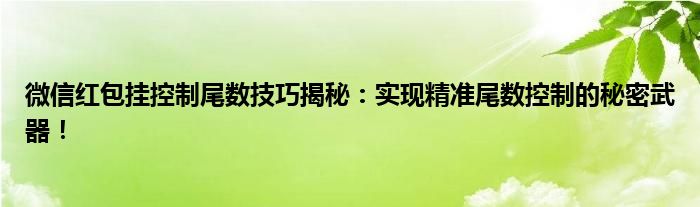 微信红包挂控制尾数技巧揭秘：实现精准尾数控制的秘密武器！
