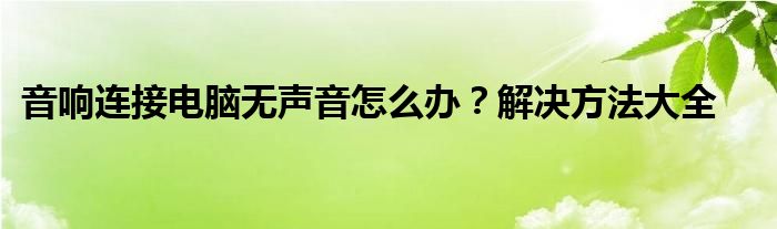 音响连接电脑无声音怎么办？解决方法大全