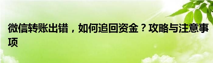 微信转账出错，如何追回资金？攻略与注意事项
