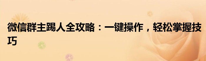 微信群主踢人全攻略：一键操作，轻松掌握技巧