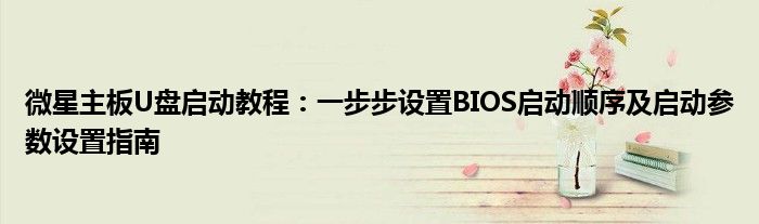 微星主板U盘启动教程：一步步设置BIOS启动顺序及启动参数设置指南