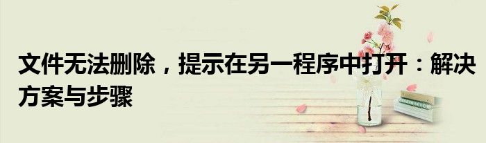 文件无法删除，提示在另一程序中打开：解决方案与步骤
