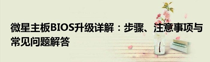 微星主板BIOS升级详解：步骤、注意事项与常见问题解答