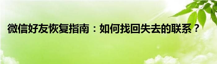 微信好友恢复指南：如何找回失去的联系？