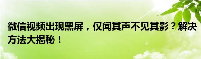 微信视频出现黑屏，仅闻其声不见其影？解决方法大揭秘！