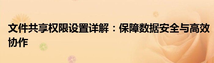 文件共享权限设置详解：保障数据安全与高效协作