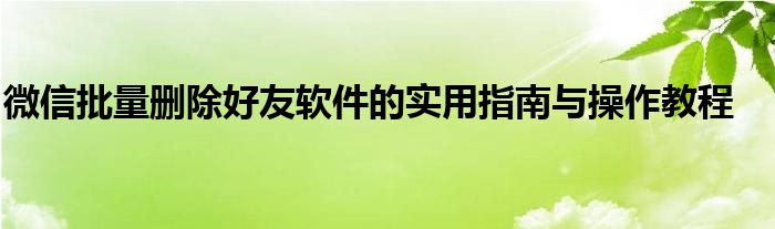 微信批量删除好友软件的实用指南与操作教程