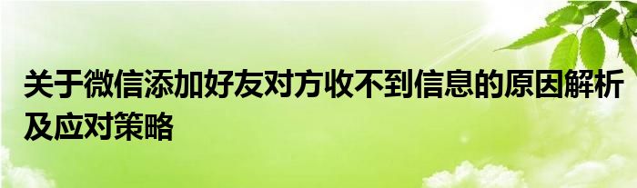 关于微信添加好友对方收不到信息的原因解析及应对策略