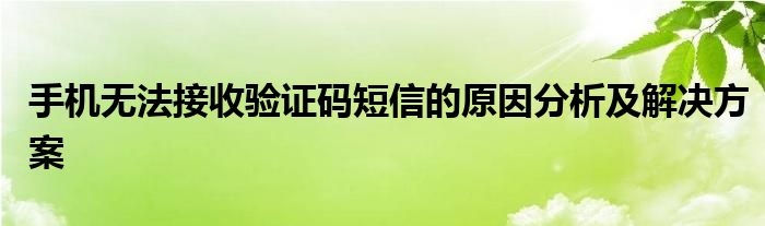 手机无法接收验证码短信的原因分析及解决方案