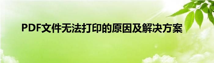 PDF文件无法打印的原因及解决方案