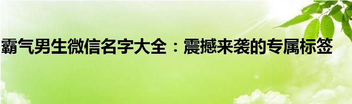霸气男生微信名字大全：震撼来袭的专属标签