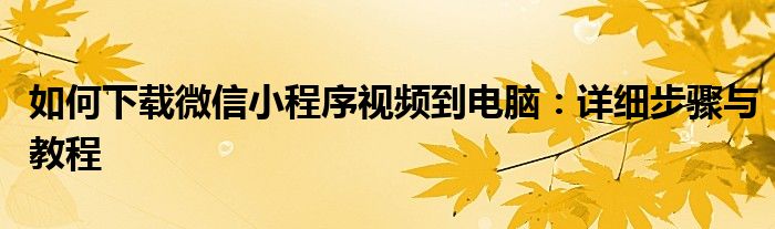 如何下载微信小程序视频到电脑：详细步骤与教程