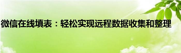 微信在线填表：轻松实现远程数据收集和整理