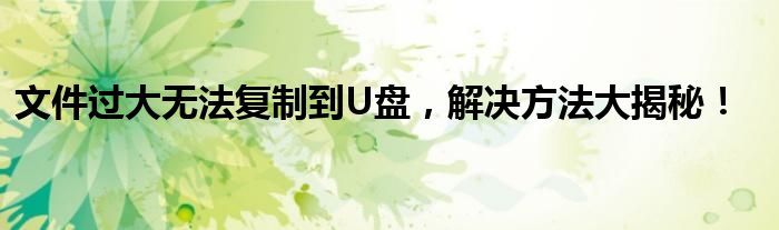 文件过大无法复制到U盘，解决方法大揭秘！