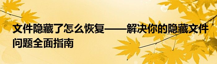 文件隐藏了怎么恢复——解决你的隐藏文件问题全面指南