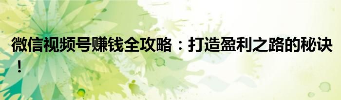 微信视频号赚钱全攻略：打造盈利之路的秘诀！