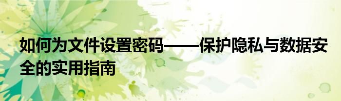 如何为文件设置密码——保护隐私与数据安全的实用指南