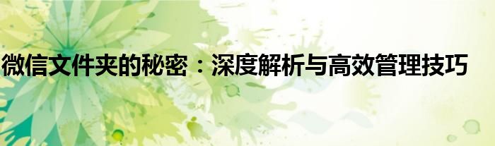 微信文件夹的秘密：深度解析与高效管理技巧
