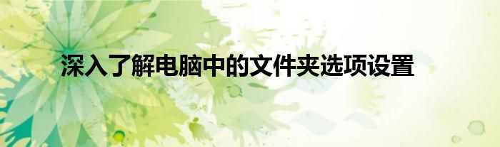 深入了解电脑中的文件夹选项设置