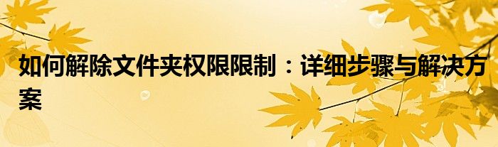 如何解除文件夹权限限制：详细步骤与解决方案