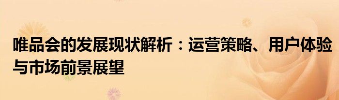 唯品会的发展现状解析：运营策略、用户体验与市场前景展望