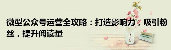 微型公众号运营全攻略：打造影响力，吸引粉丝，提升阅读量