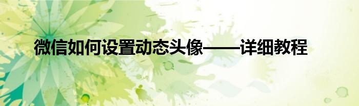 微信如何设置动态头像——详细教程