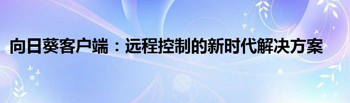 向日葵客户端：远程控制的新时代解决方案