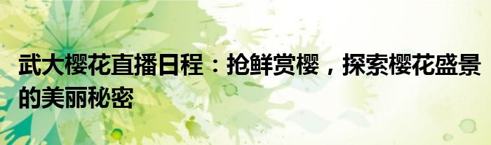 武大樱花直播日程：抢鲜赏樱，探索樱花盛景的美丽秘密