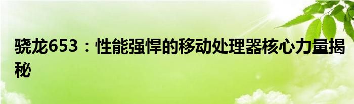 骁龙653：性能强悍的移动处理器核心力量揭秘