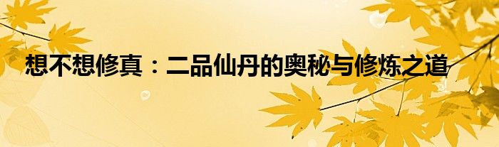 想不想修真：二品仙丹的奥秘与修炼之道