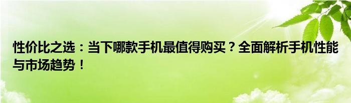 性价比之选：当下哪款手机最值得购买？全面解析手机性能与市场趋势！