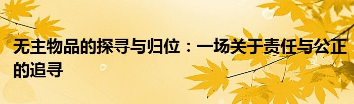 无主物品的探寻与归位：一场关于责任与公正的追寻