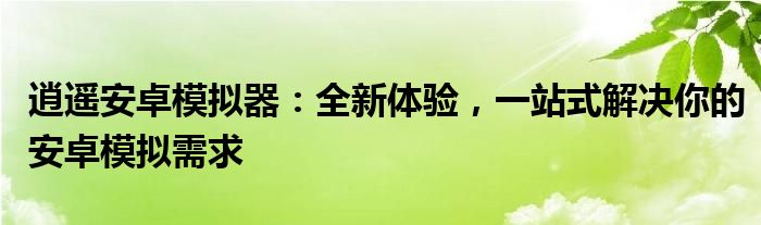 逍遥安卓模拟器：全新体验，一站式解决你的安卓模拟需求