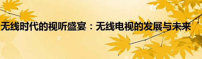 无线时代的视听盛宴：无线电视的发展与未来