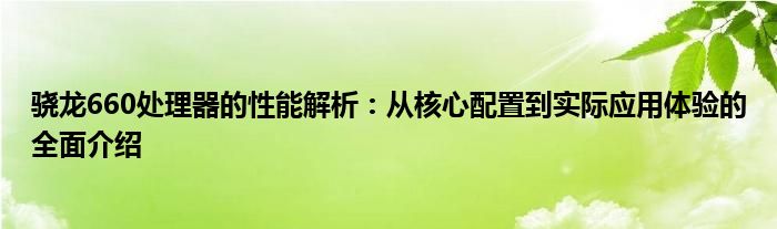 骁龙660处理器的性能解析：从核心配置到实际应用体验的全面介绍