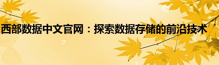 西部数据中文官网：探索数据存储的前沿技术