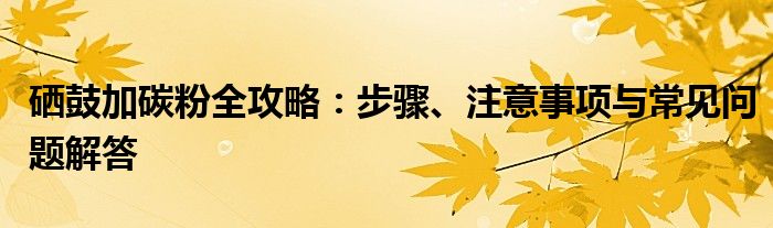 硒鼓加碳粉全攻略：步骤、注意事项与常见问题解答